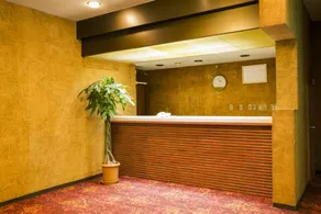 Yugawara-Onsen Komachikan - Réception