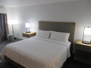Best Western Premier Houston Downtown/Convention Center Hotel - Chambre