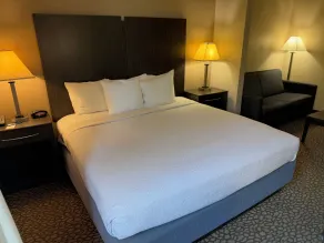 Comfort Inn & Suites Bradenton North I-75 - Værelse