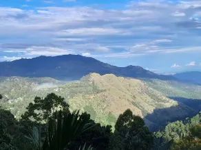 Golden View Guest Ella - Rom