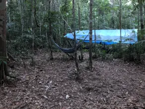 Curupira Amazon Lodge - Private Jungle Tour, River Tour or Great Adventure TOUR INCLUDED ONLY IN DELUXE ROOMS - Habitación