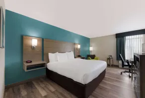 Best Western Hampton Coliseum Inn - Chambre
