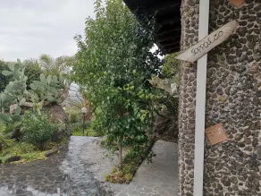La Fattoria Dei Nonni - Vistas desde la habitación