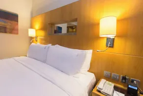 Holiday Inn Abu Dhabi by IHG - Vue de la chambre