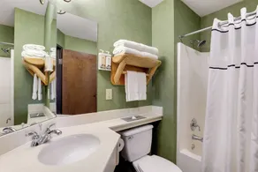 Stoney Creek Hotel La Crosse - Onalaska - Salle de bain