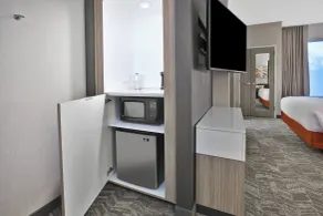 SpringHill Suites by Marriott Chattanooga North/Ooltewah - Zimmer