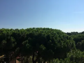 Hotel Deanna Golf - Vue de la chambre