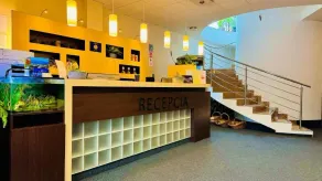 Hotel CROCUS - Reception