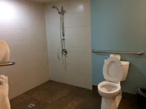 Econo Lodge - Bathroom