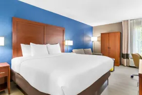 Comfort Inn Greenville - Haywood Mall - Værelse