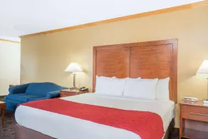 Baymont by Wyndham Kasson Rochester Area - Chambre