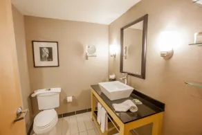 Wyndham Noblesville - Bathroom