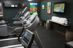 Pike's Waterfront Lodge - Salle de sport