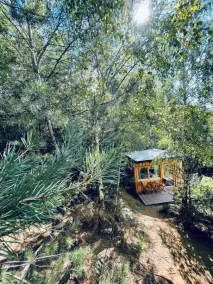 Boutique Glamping Divja DiVine - Rum
