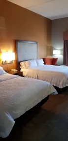 Hampton Inn Pell City - Chambre