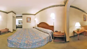 Quality Inn & Suites Orangeburg - Chambre