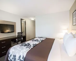 Sleep Inn & Suites Norton - Rum