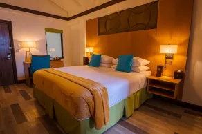 Sago Palm Hotel - Room