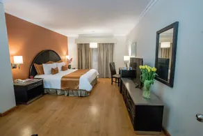Plaza de Oro Hotel - Habitación