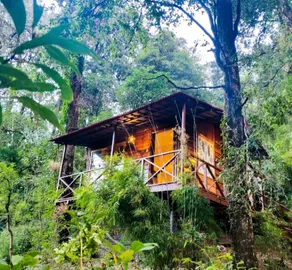 Ayar Jungle Resort - Room