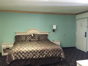 Scottish Inn and Suites NRG Park/Texas Medical Center - Houston - Room