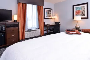 Hampton Inn Rome - Chambre