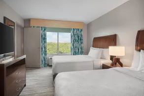 Hilton Garden Inn Tampa North Busch Gardens - Rum
