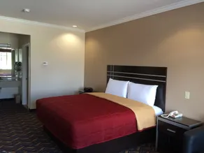 Palace Inn Kingwood - Chambre
