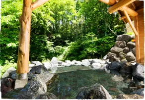 Okutone Onsen Hotel Sunbird - Spa