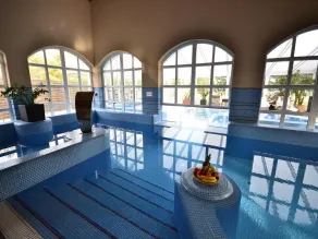 Bodrogi Kúria Wellness Hotel - Piscine