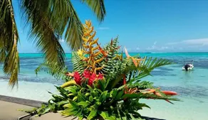 Moorea Island Beach Hotel - Reception