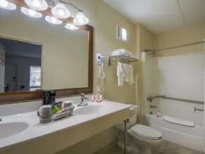 Econo Lodge Forest City - Bathroom