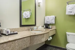 Sleep Inn & Suites Dothan North - Salle de bain