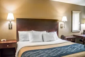 Comfort Inn Sandusky - Chambre