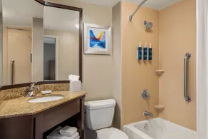 Four Points by Sheraton Chicago Westchester/Oak Brook - Bathroom
