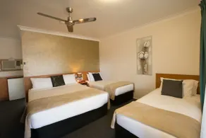 David Motor Inn - Room