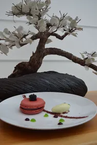 Domaine De Saint Clair - Restaurant
