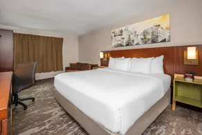 Comfort Inn - Room