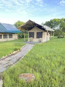 Eco Mara Tented Camp  - Zimmer