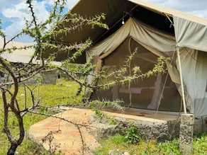 Flair Camp Experiences - Habitación