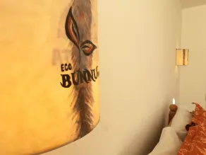 Eco Bunnu Inn - Room