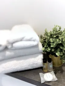 Ascot House Apartments - Bathroom