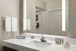 Homewood Suites by Hilton North Dallas-Plano - Badrum