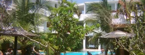 The white Haven - Terrenos do alojamento
