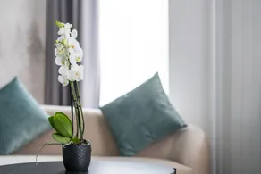 Hotel Rheingerbe - Værelse
