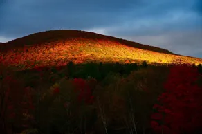 Mountain Treasure Bed and Breakfast - Utsikt fra rommet