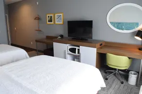 Hampton Inn Buffalo-Hamburg - Room