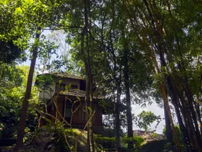 Edakkal Hermitage - Habitación