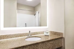 Wingate by Wyndham Fletcher at Asheville Airport - Salle de bain