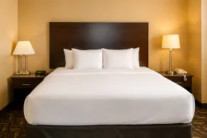 Comfort Inn & Suites Ambassador Bridge - Værelse